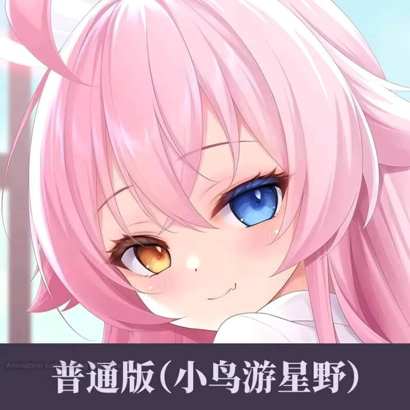 Bedding - Dakimakura Blue Archive Takanashi Hoshino Federa